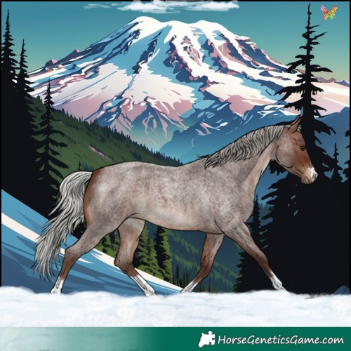 Horse Color:Silver Brown Roan 