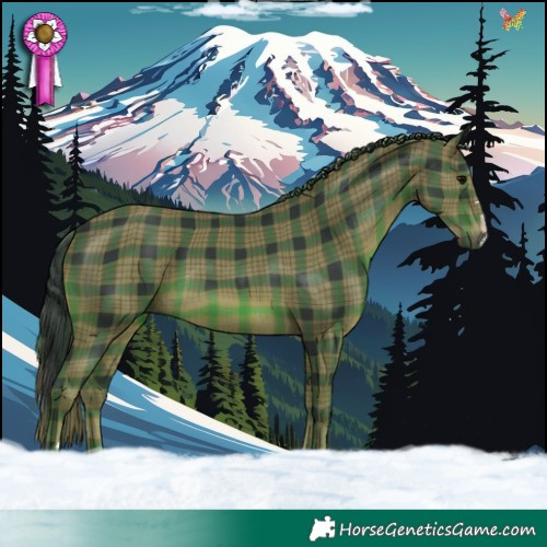 Horse Color:Plaid Black