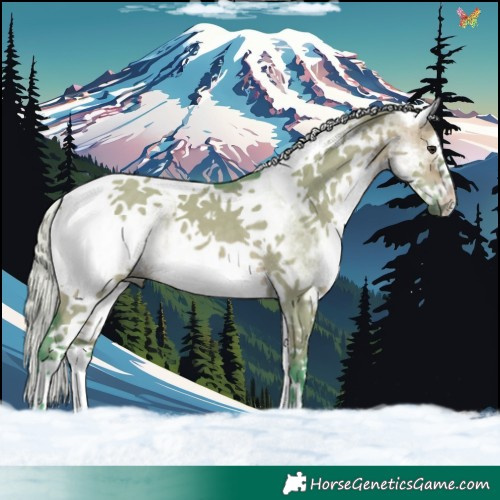 Horse Color:Watercolor White Spotted Silver Brown Dun Tobiano