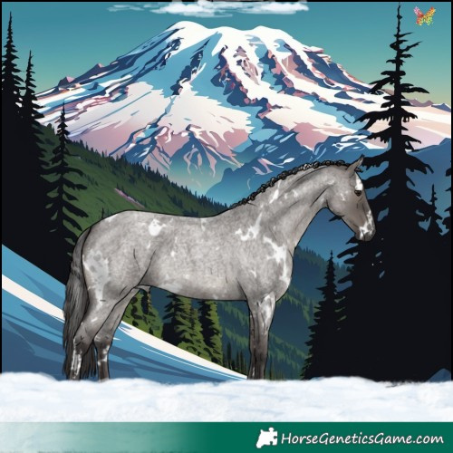 Horse Color:White Spotted Smoky Grullo Roan