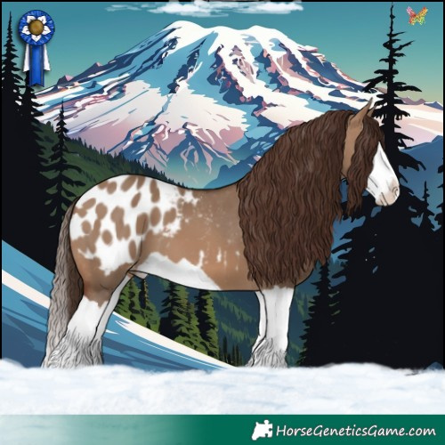Horse Color:Brown Dun Splash Appaloosa 