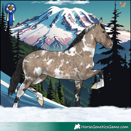 Horse Color:White Spotted Brown Dun Appaloosa Brindle