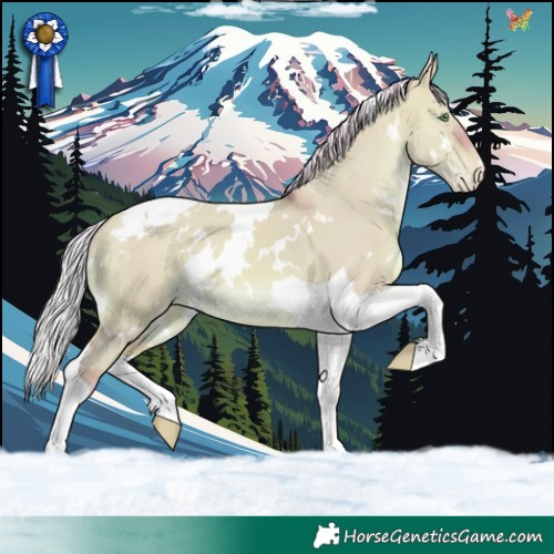 Horse Color:Watercolor White Spotted Silver Sable Champagne Dun Tobiano Appaloosa