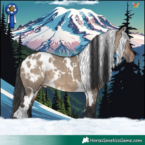 Horse Color:White Spotted Brown Dun Appaloosa