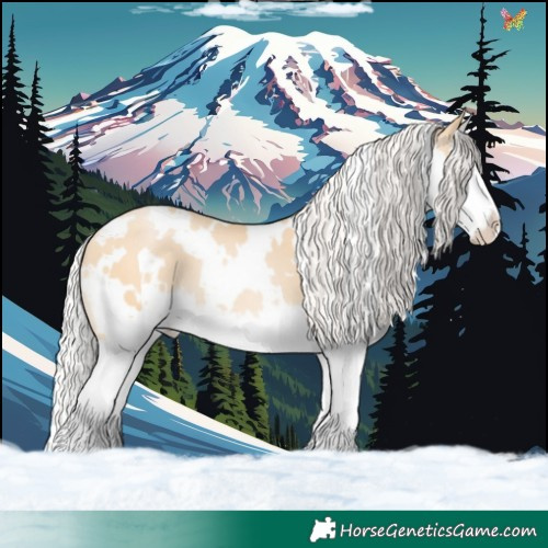 Horse Color:White Spotted Silver Buckskin Pearl Splash