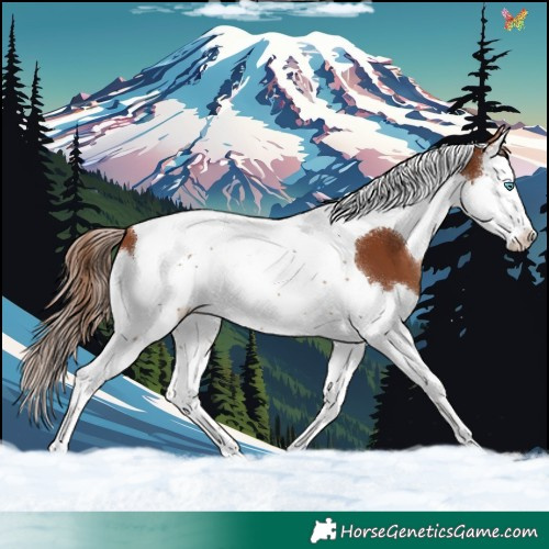 Horse Color:Chestnut Splash Tobiano