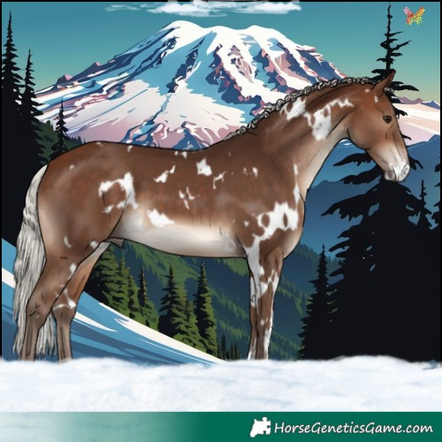 Horse Color:White Spotted Silver Brown 