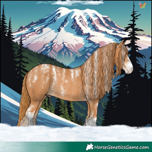 Horse Color:Powder White Chestnut Rabicano