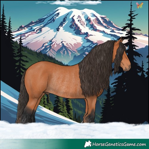 Horse Color:Bay Rabicano