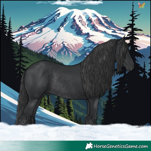 Horse Color:Black Rabicano 