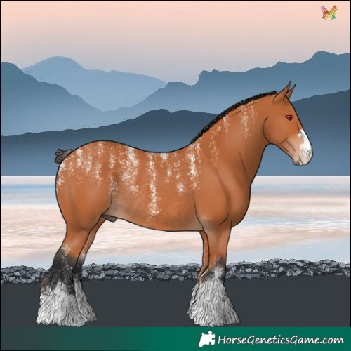 Horse Color:Powder White Bay Rabicano 