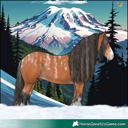 Horse Color:Powder White Bay Rabicano