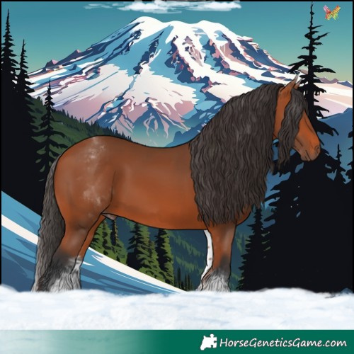 Horse Color:White Spotted Bay