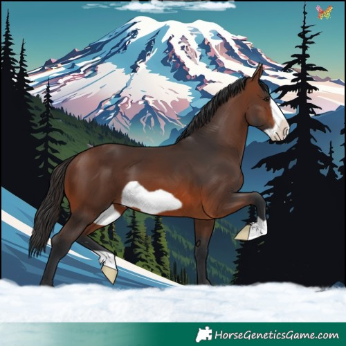 Horse Color:Brown Frame
