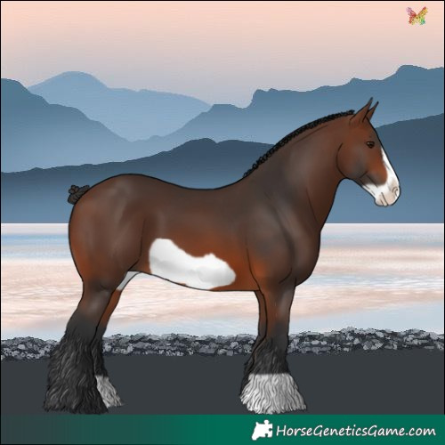 Horse Color:Brown Frame 