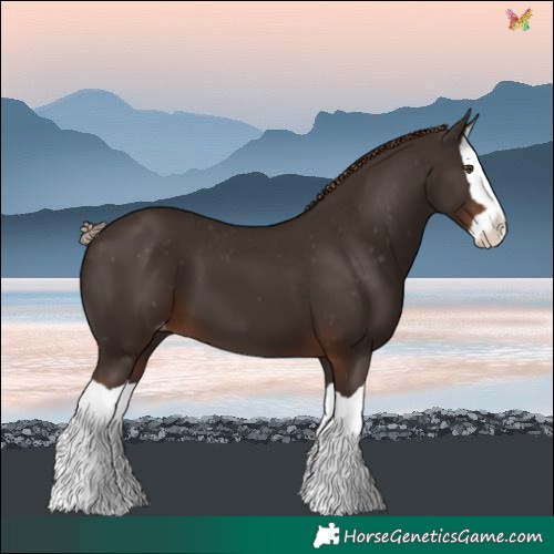 Horse Color:Liver Chestnut Splash Varnish 