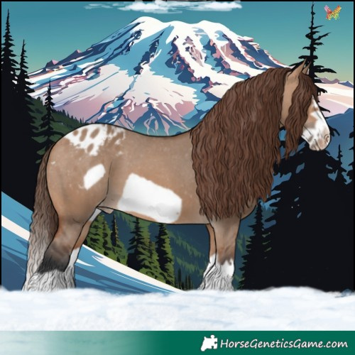 Horse Color:Bay Dun Splash Frame Appaloosa
