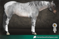 Horse Color:Brown Roan Tobiano 