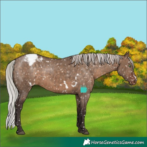 Horse Color:White Spotted Silver Brown Dun Appaloosa Rabicano Brindle 