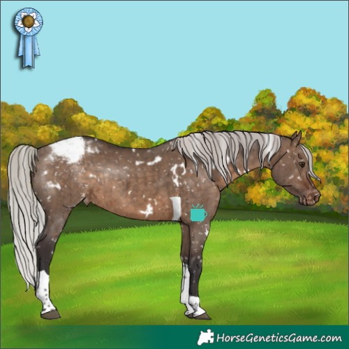 Horse Color:White Spotted Silver Brown Dun Tobiano Appaloosa Rabicano Brindle 