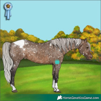 Horse Color:White Spotted Silver Brown Dun Tobiano Appaloosa Rabicano Brindle