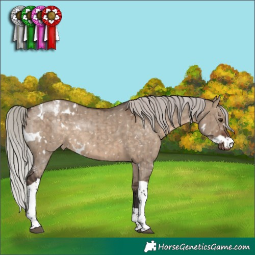 Horse Color:White Spotted Silver Brown Dun Tobiano Appaloosa Rabicano Brindle 