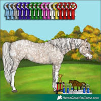 Horse Color:White Spotted Silver Brown Dun Tobiano Snowcap Rabicano Brindle