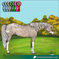 Horse Color:White Spotted Silver Brown Dun Tobiano Appaloosa Rabicano Brindle