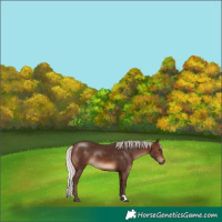 Horse Color:Silver Brown 