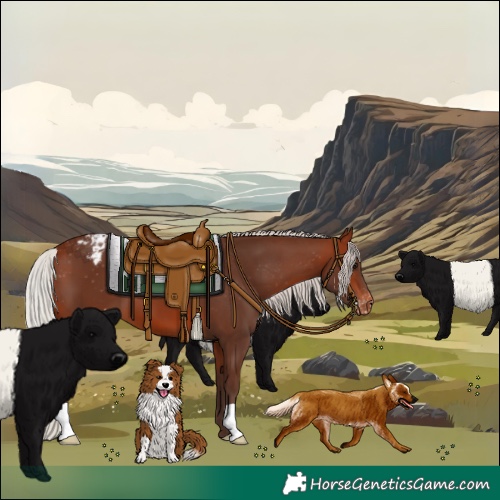 Horse Color:Silver Brown Varnish 