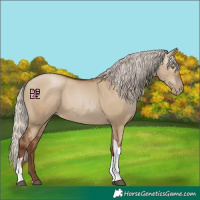 Horse Color:Gray Silver Grullo Pearl Tobiano