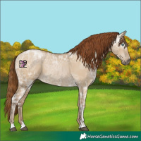 Horse Color:Gray Smoky Grullo Ice Pearl 