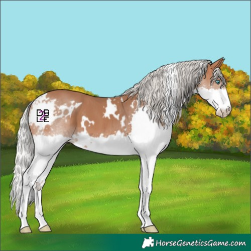 Horse Color:White Spotted Silver Bay Splash 