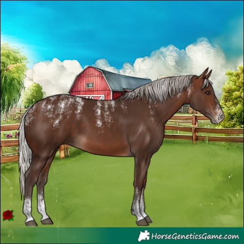 Horse Color:Powder White Silver Brown 
