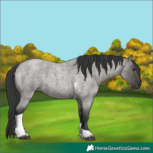 Horse Color:Grullo Roan Tobiano 