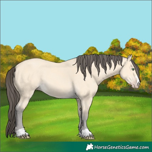 Horse Color:Amber Cream Champagne 