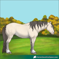 Horse Color:Amber Cream Champagne 