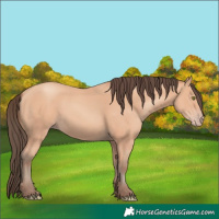 Horse Color:Amber Champagne 