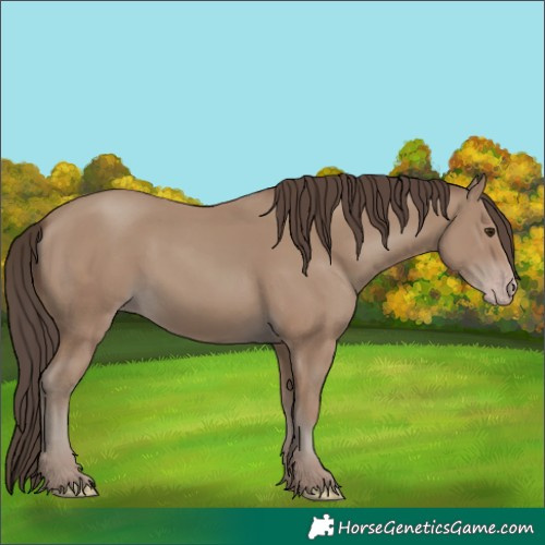 Horse Color:Classic Champagne