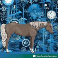 Horse Color:Silver Black