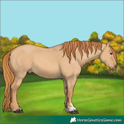 Horse Color:Red Dun