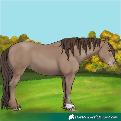 Horse Color:Classic Champagne 