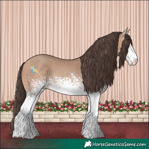 Horse Color:White Spotted Amber Champagne