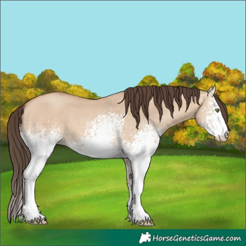 Horse Color:White Spotted Amber Champagne Dun