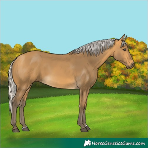 Horse Color:Silver Buckskin