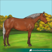 Horse Color:Silver Brown