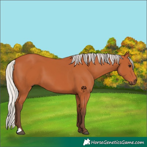 Horse Color:Silver Bay