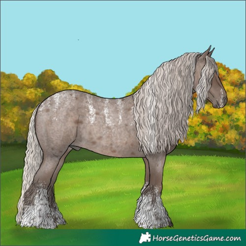Horse Color:Powder White Silver Blue Roan Rabicano 