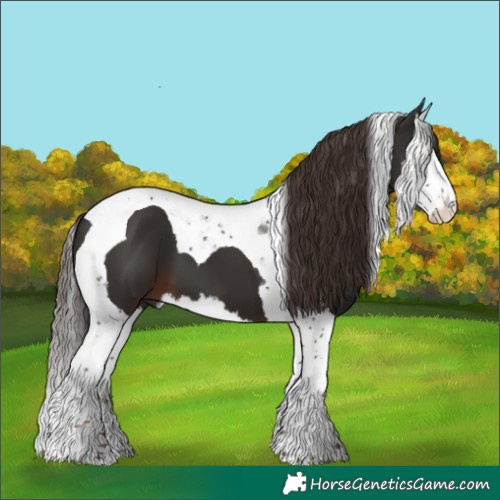 Horse Color:Liver Chestnut Splash Tobiano 