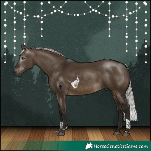 Horse Color:Gray Silver Bay Dun Tobiano Rabicano 